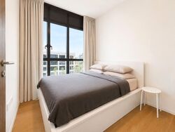 Juniper Hill (D10), Apartment #564768381